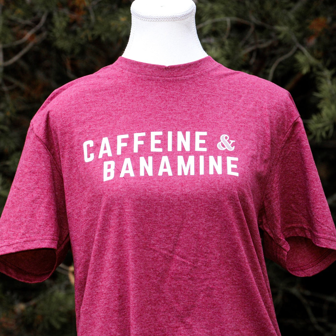 Caffeine & Banamine